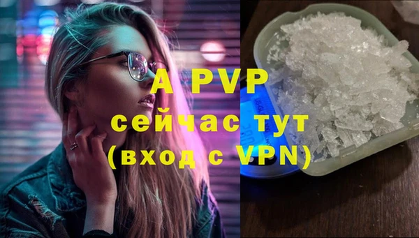стафф Беломорск